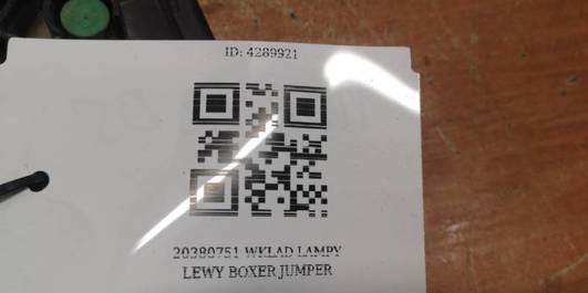 20380751 WKLAD LAMPY LEWY BOXER JUMPER